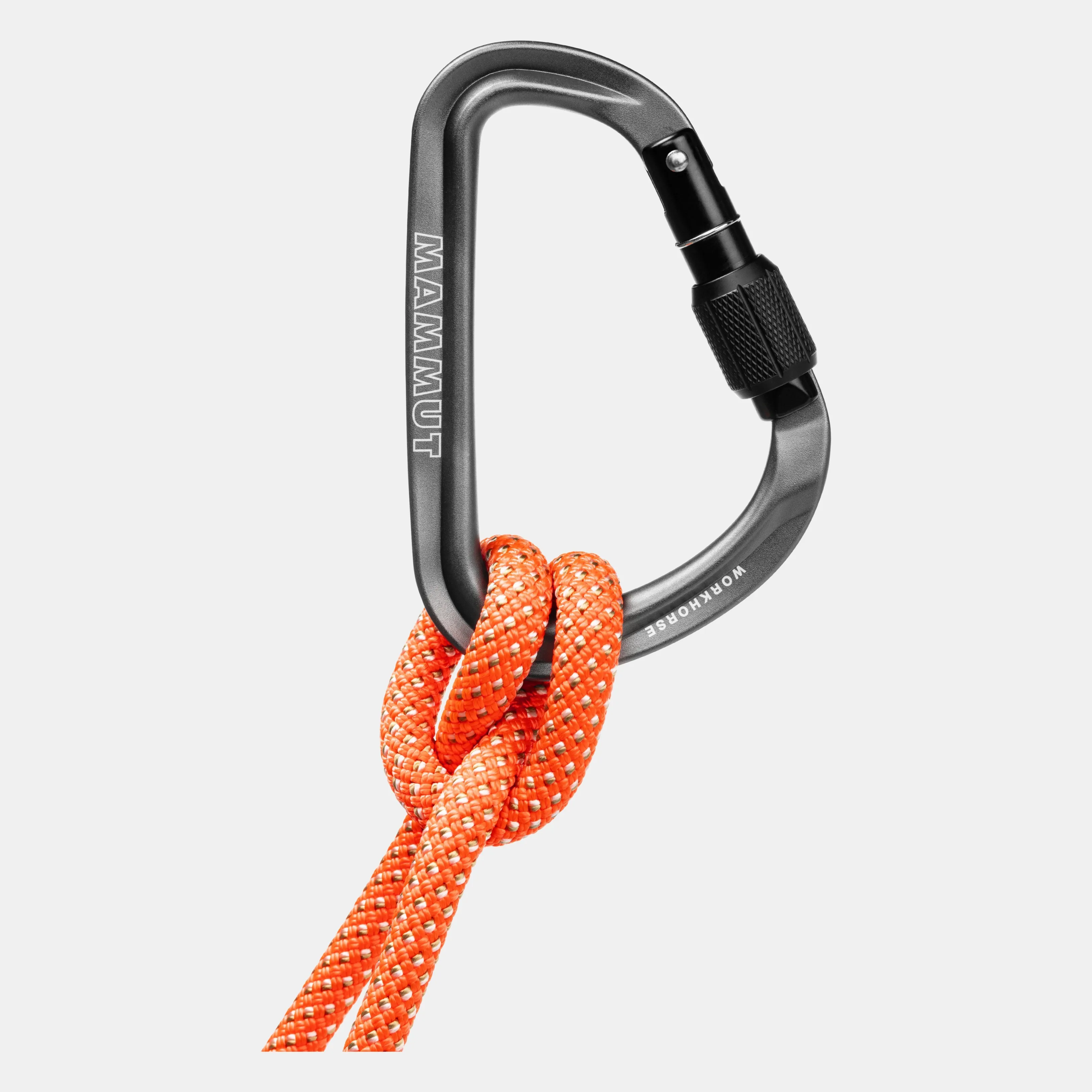 Discount Workhorse HMS Screwgate Carabiner Damen Kletterausrüstung | Kletterausrüstung